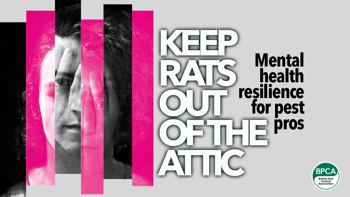 keep-rats-out-of-the-attic